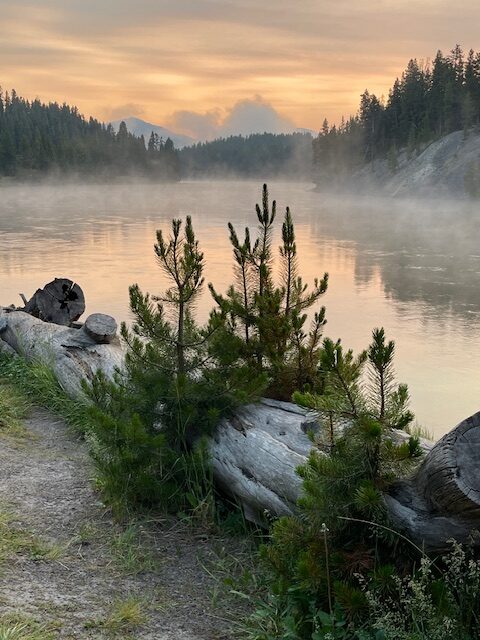 Sunrise over a misty river, framed by a log and lush greenery. The tranquil scene highlights nature's beauty and calmness.