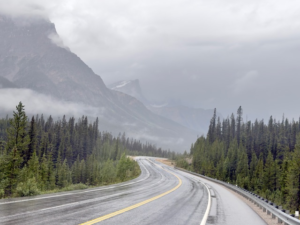 highway fog