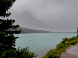 fog in lake